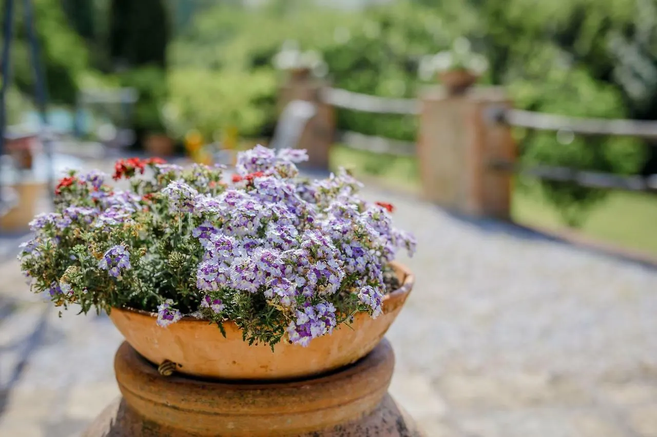 Pensionat Villa Loghino Volterra